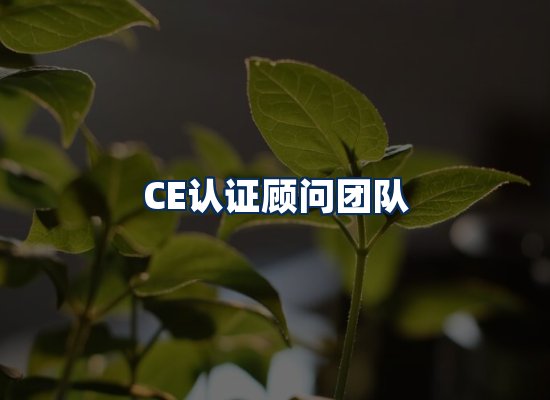 CE认证顾问团队